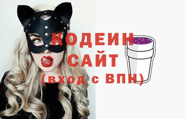стафф Арсеньев