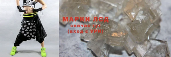 стафф Арсеньев
