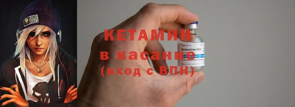 стафф Арсеньев