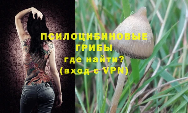 ГАЛЛЮЦИНОГЕННЫЕ ГРИБЫ Алексин